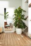 brussels rond wielen 40cm wit